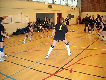 cad0147.jpg
