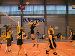P1013058.JPG