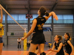 P1013061.JPG