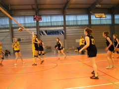 P1013063.JPG