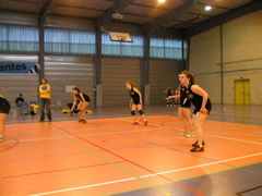 P1013066.JPG