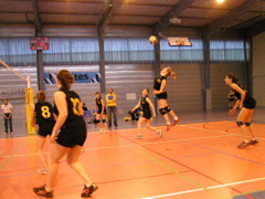 P1013067.JPG