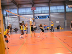 P1013070.JPG