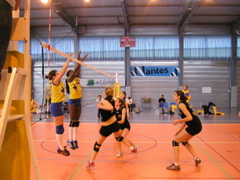 P1013072.JPG