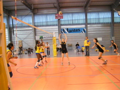 P1013075.JPG