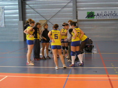 P1013082.JPG