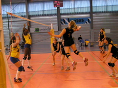 P1013084.JPG