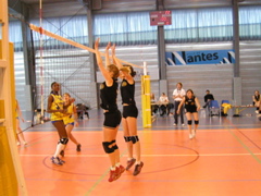 P1013088.JPG