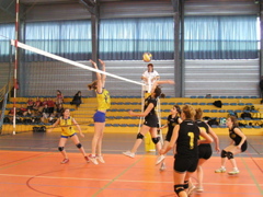 P1013094.JPG