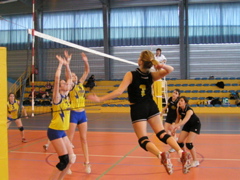 P1013095.JPG