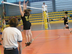 P1013100.JPG