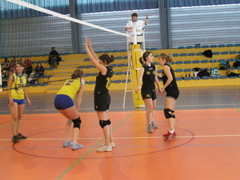 P1013102.JPG