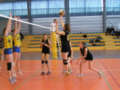 P1013108.JPG