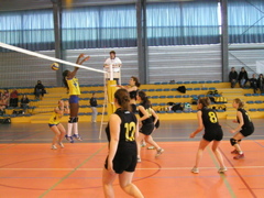 P1013110.JPG