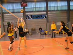 P1013057.JPG