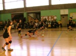 Ace de Rennes